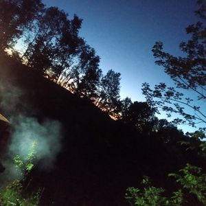 Meet your Posher, Austin